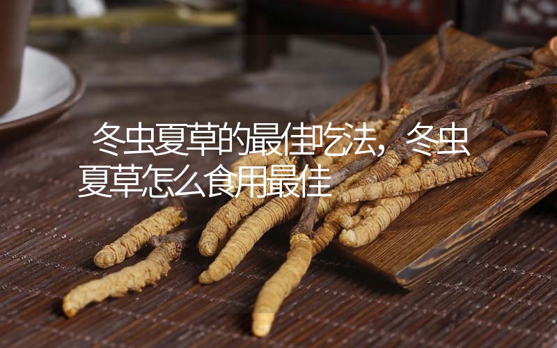 冬蟲夏草的最佳吃法，冬蟲夏草怎么食用最佳