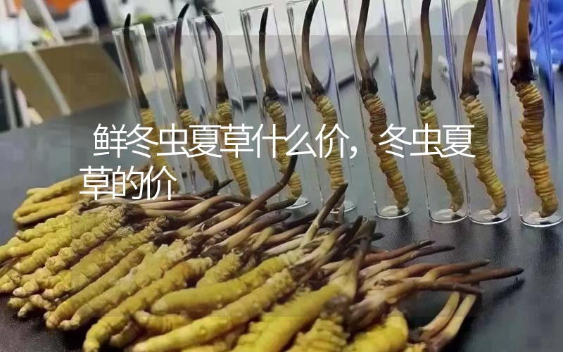 鮮冬蟲夏草什么價(jià)，冬蟲夏草的價(jià)格
