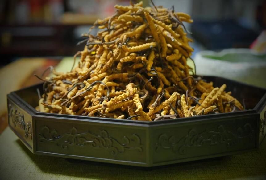 <a href=http://m.eaebo.com/ target=_blank class=infotextkey>冬蟲夏草</a>