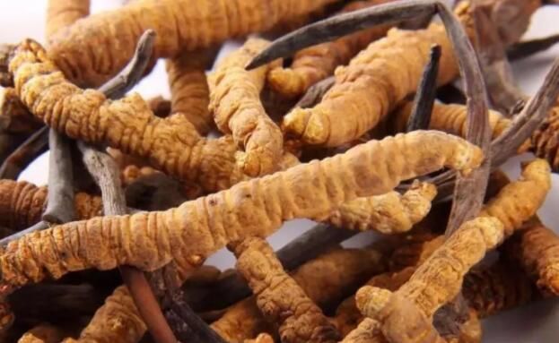 <a href=http://m.eaebo.com/chifa/ target=_blank class=infotextkey>冬蟲夏草的吃法</a>