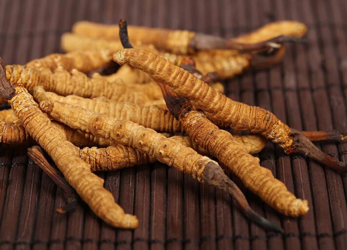 什么樣的冬蟲夏草算是優(yōu)質(zhì)的？