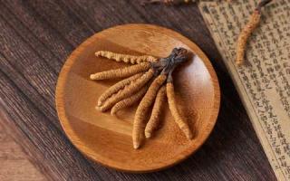 冬蟲(chóng)夏草名字的由來(lái)，為何叫冬蟲(chóng)夏草！