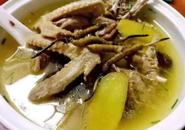 冬蟲夏草和哪些食材可以一起煲湯？