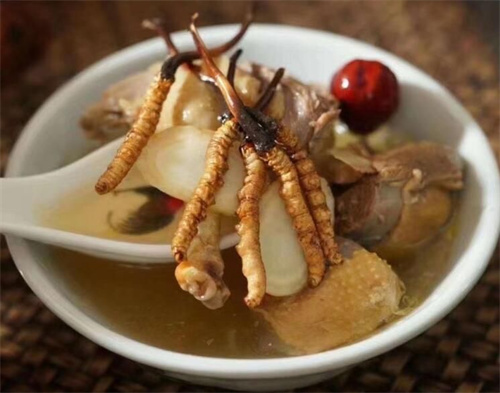 冬蟲夏草用什么壺煮水？