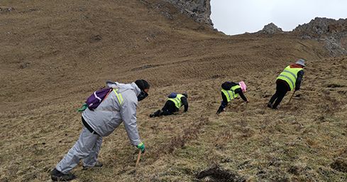 <a href=http://m.eaebo.com/sdph/zf/ target=_blank class=infotextkey>珍峰冬蟲夏草</a>：源自世界屋脊的養(yǎng)生瑰寶