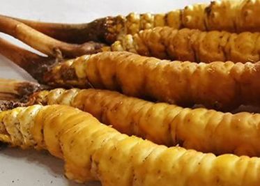 <a href=http://m.eaebo.com/sdph/zf/ target=_blank class=infotextkey>珍峰冬蟲夏草</a>主要的銷售模式