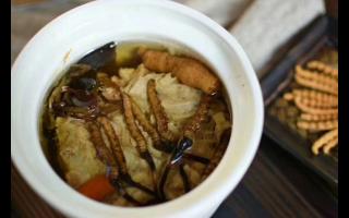 冬蟲夏草怎么食用？解鎖滋補(bǔ)養(yǎng)生的正確打開方式