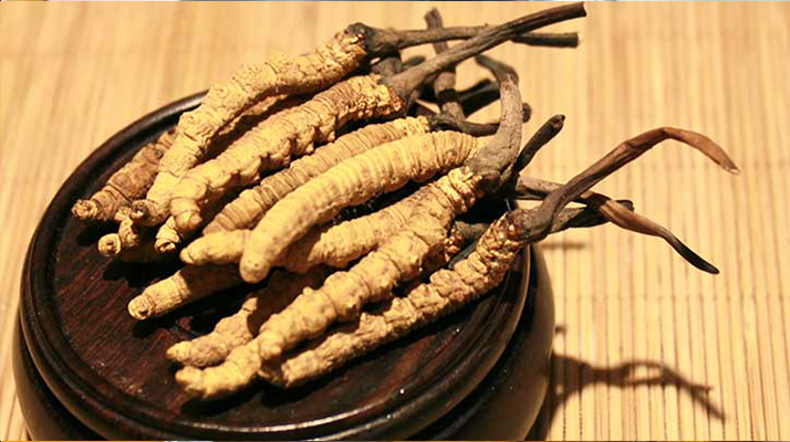 未來冬蟲夏草會漲價嗎？