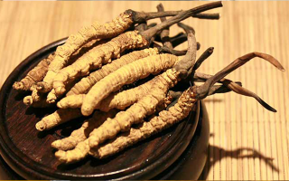 未來冬蟲夏草會漲價嗎？