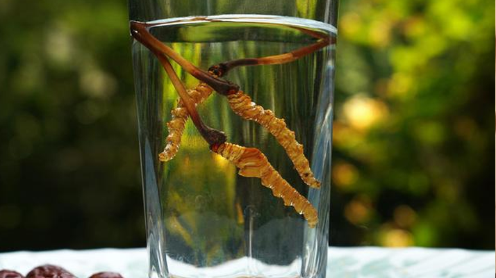 <a href=http://m.eaebo.com/xinxian/ target=_blank class=infotextkey>鮮冬蟲夏草</a>怎么泡好吃？這些配方讓滋補更有滋味