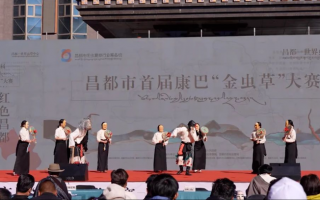 昌都市舉辦首屆康巴“金蟲草”大賽