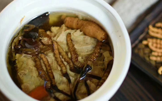 新鮮冬蟲(chóng)夏草的食用指南：解鎖滋補(bǔ)新方式? ? ? ?