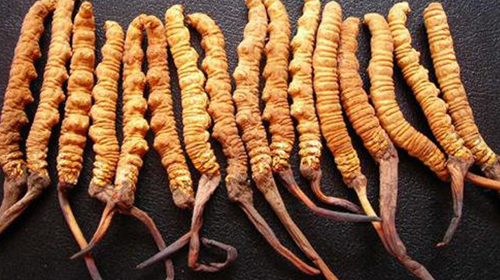 野生<a href=http://m.eaebo.com/jiage/ target=_blank class=infotextkey>冬蟲夏草多少錢</a>一棵