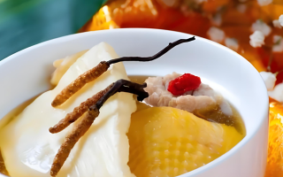 煲鴿子湯放多少冬蟲(chóng)夏草？科學(xué)搭配的滋補(bǔ)之道