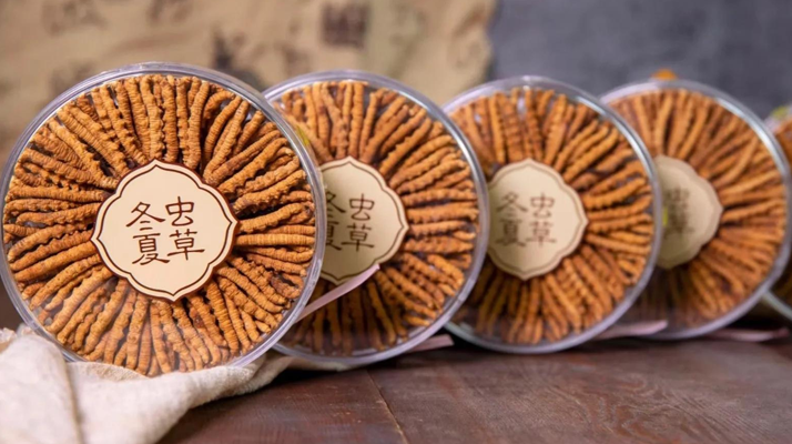 同仁堂<a href=http://m.eaebo.com/chanpin/ target=_blank class=infotextkey>冬蟲夏草禮盒</a>：珍稀饋贈(zèng)，品質(zhì)之選