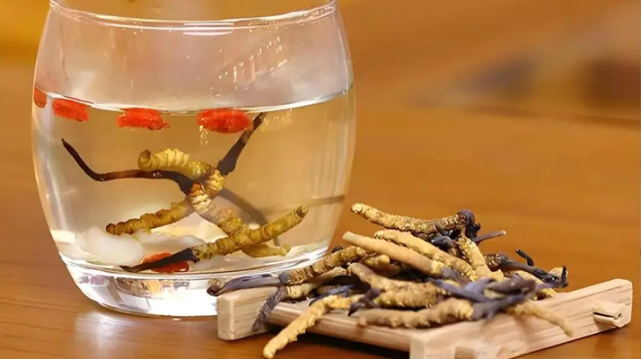 小孩喝冬蟲夏草水好不好