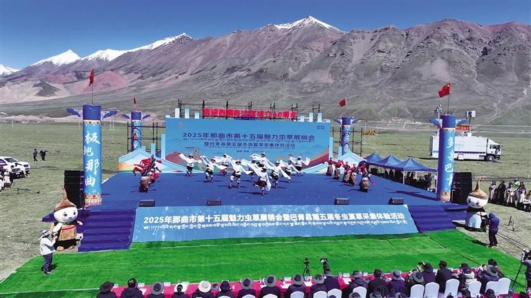 雪域高原迎盛會(huì) 蟲草之鄉(xiāng)展新顏——那曲市第十五屆魅力蟲草展銷會(huì)暨巴青縣第五屆冬蟲夏草采集體驗(yàn)活動(dòng)盛大開幕