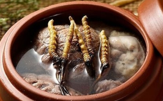 冬蟲夏草燉雞能放多久