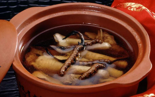 糖尿病可服用冬蟲夏草嗎？科學(xué)解析其調(diào)理價值與注意事項