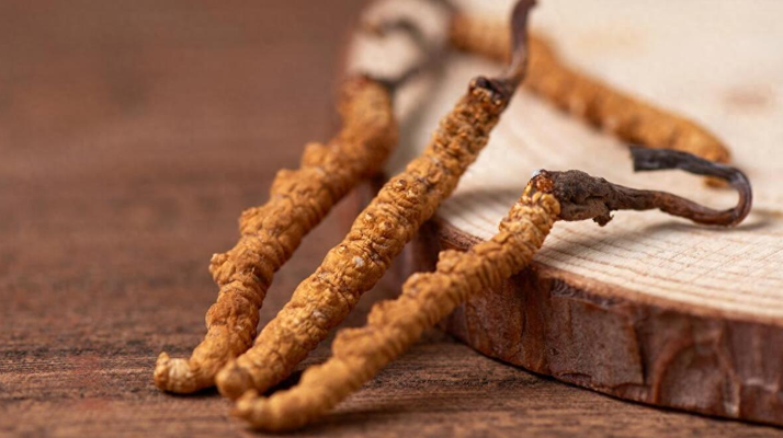 純野生<a href=http://m.eaebo.com/jiage/ target=_blank class=infotextkey>冬蟲夏草價(jià)格</a>剖析：多因素交織下的價(jià)值體現(xiàn)