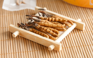 冬蟲夏草可以干燥存放嗎？科學(xué)儲存方法與注意事項