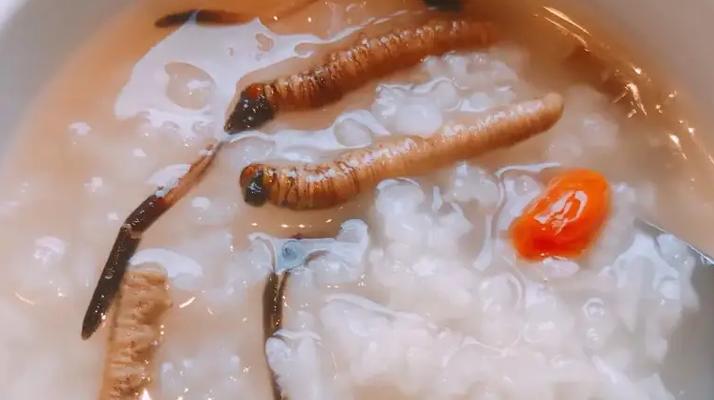 冬蟲夏草適合哪些人群？精準匹配與禁忌提醒