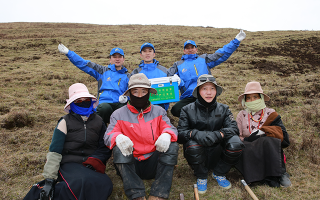 西藏冬蟲(chóng)夏草的主要產(chǎn)地：品質(zhì)與地域特色詳解