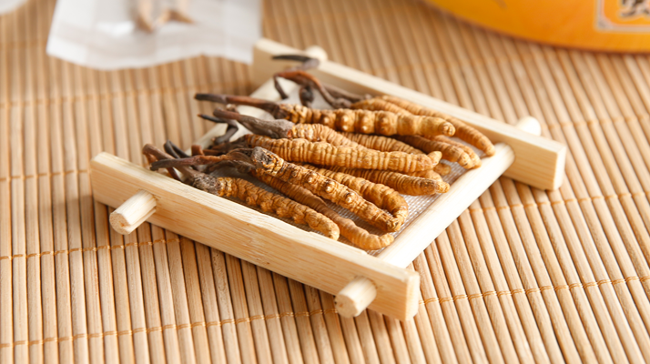 冬蟲夏草老鴨湯怎么燉？鮮香滋補(bǔ)的詳細(xì)做法與技巧