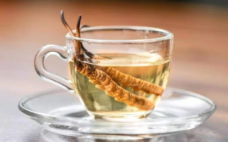 一瓶酒泡多少冬蟲夏草？科學(xué)搭配有講究