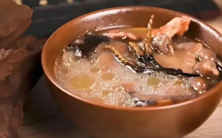 冬蟲夏草治什么病效果好？厘清輔助調(diào)理邊界與適用場景