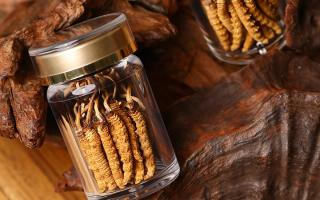 鮮冬蟲夏草泡水后怎么保存？3 種場景保存方法 + 避坑指南