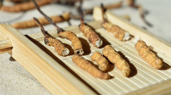 斷的<a href=http://m.eaebo.com/ target=_blank class=infotextkey>冬蟲(chóng)夏草</a>一克啥價(jià)