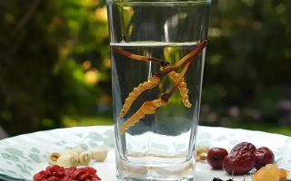 人參配蟲草泡酒，泡多久才好喝？咱跟你說實(shí)在的