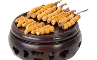 冬蟲夏草的頭期斷草好嗎？有沒有營養(yǎng)價值？