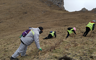 非法采挖蟲草的常見誤區(qū)、合規(guī)清單、采集證辦理流程與價(jià)值鑒定要點(diǎn)