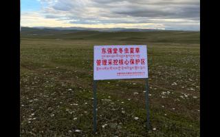 高原之上，蟲草共生；守護(hù)生態(tài)，東強(qiáng)堂與你同行