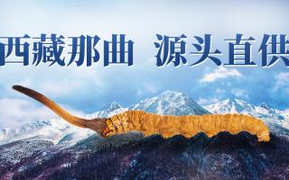 2025 年冬蟲夏草市場(chǎng)核心數(shù)據(jù)簡(jiǎn)報(bào)