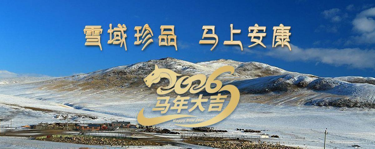 雪域高原藏珍品，2026愿您馬上安康——來自西藏那曲蟲草網的新春祝福